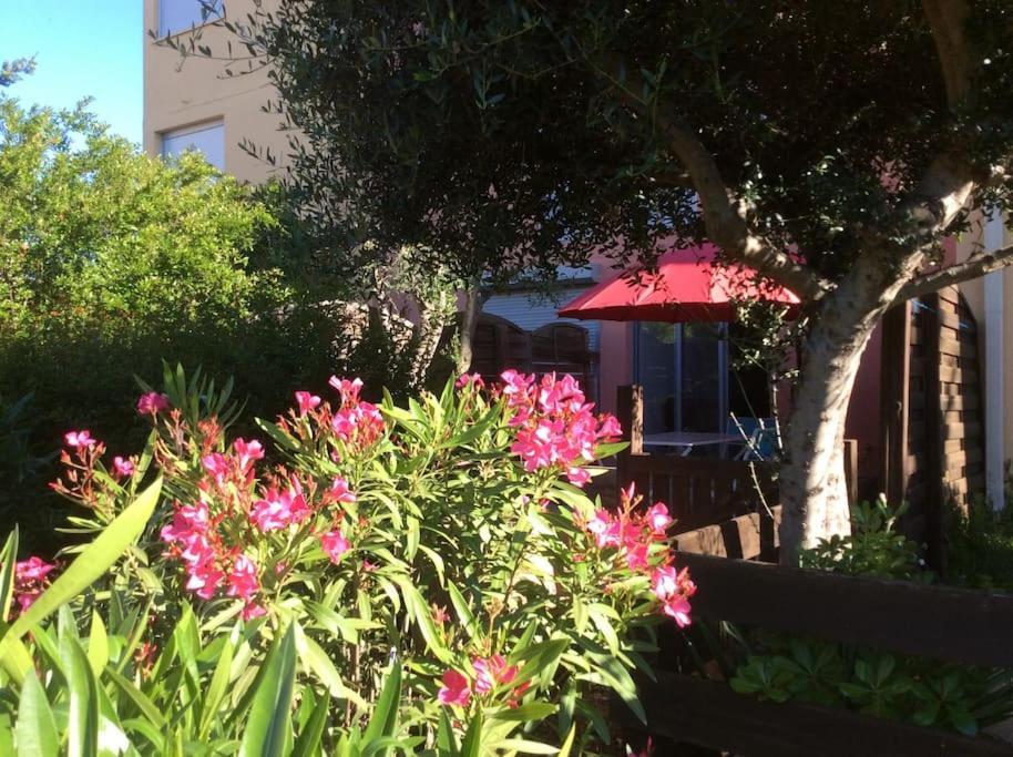 Cap Agde Studio-Cabine Jardin Clos, Port Et Plage Esterno foto